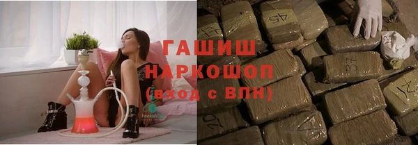 spice Новодвинск