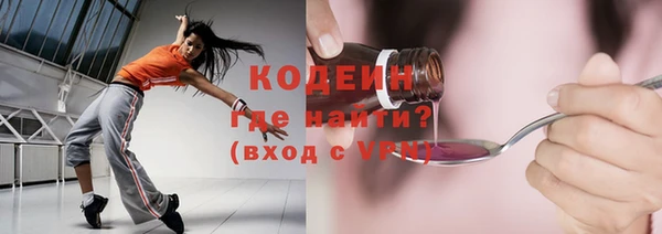 ПСИЛОЦИБИНОВЫЕ ГРИБЫ Новозыбков