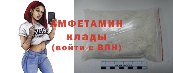 ПСИЛОЦИБИНОВЫЕ ГРИБЫ Новозыбков