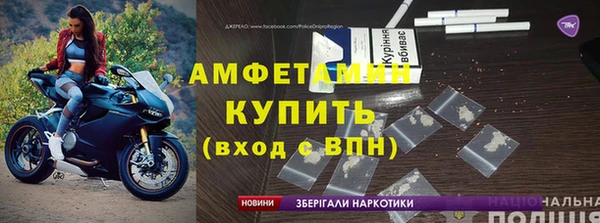 ПСИЛОЦИБИНОВЫЕ ГРИБЫ Новозыбков