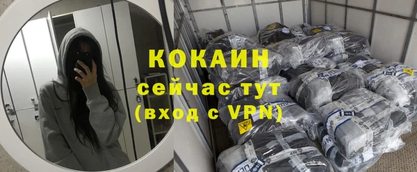 ПСИЛОЦИБИНОВЫЕ ГРИБЫ Новозыбков
